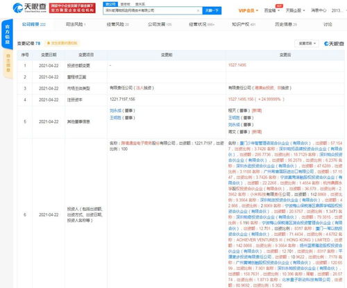 计算机软件的技术开发与销售 创新驱动与市场策略的融合